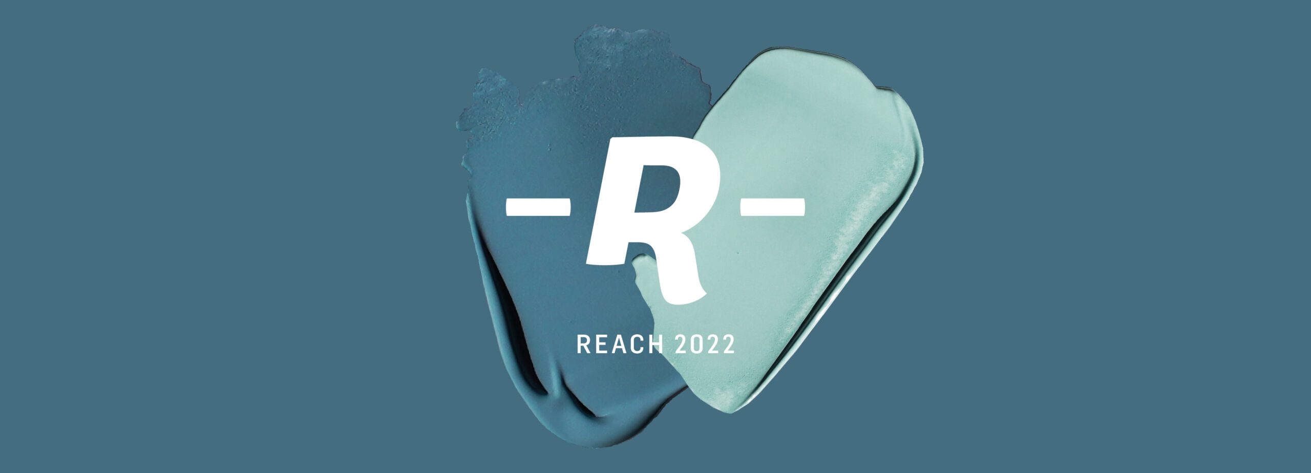 R22_Website3